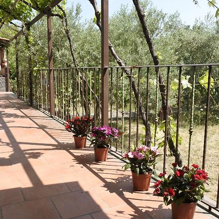 Casa Vacanza Etna Evergreen Βίλα Piedimonte Etneo Εξωτερικό φωτογραφία