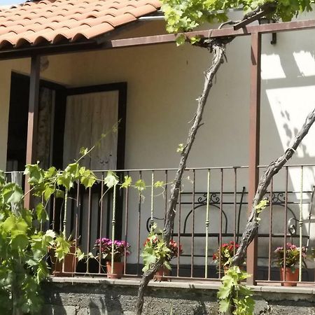 Casa Vacanza Etna Evergreen Βίλα Piedimonte Etneo Εξωτερικό φωτογραφία