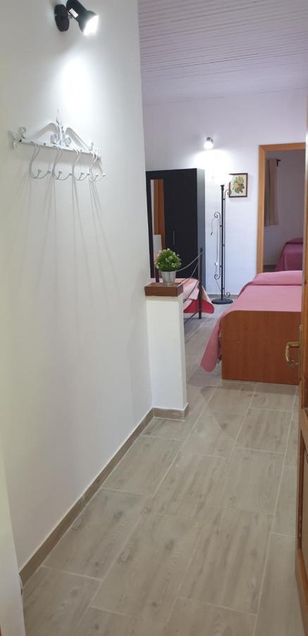 Casa Vacanza Etna Evergreen Βίλα Piedimonte Etneo Εξωτερικό φωτογραφία