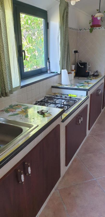 Casa Vacanza Etna Evergreen Βίλα Piedimonte Etneo Εξωτερικό φωτογραφία