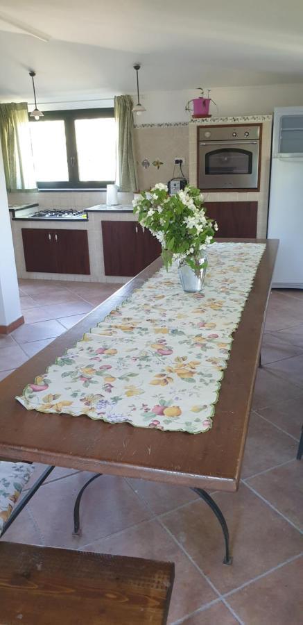 Casa Vacanza Etna Evergreen Βίλα Piedimonte Etneo Εξωτερικό φωτογραφία