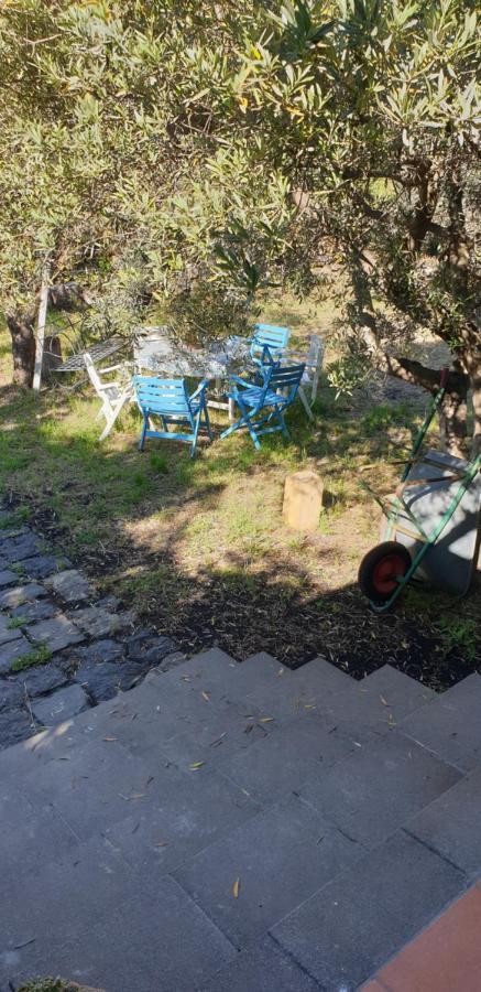 Casa Vacanza Etna Evergreen Βίλα Piedimonte Etneo Εξωτερικό φωτογραφία