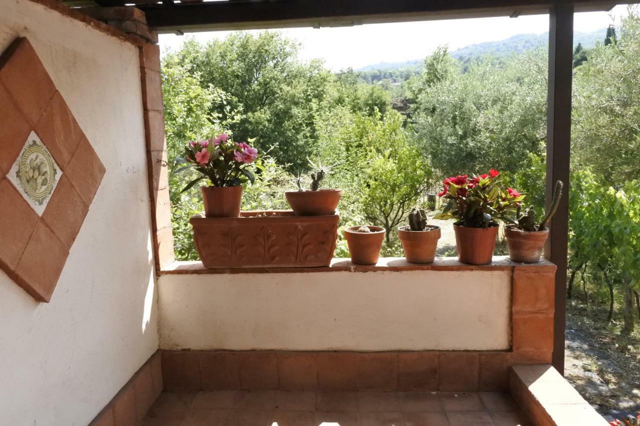 Casa Vacanza Etna Evergreen Βίλα Piedimonte Etneo Εξωτερικό φωτογραφία