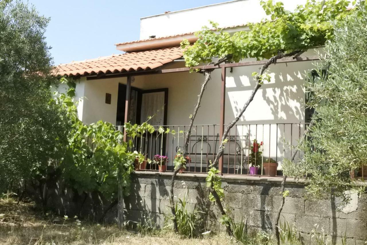 Casa Vacanza Etna Evergreen Βίλα Piedimonte Etneo Εξωτερικό φωτογραφία