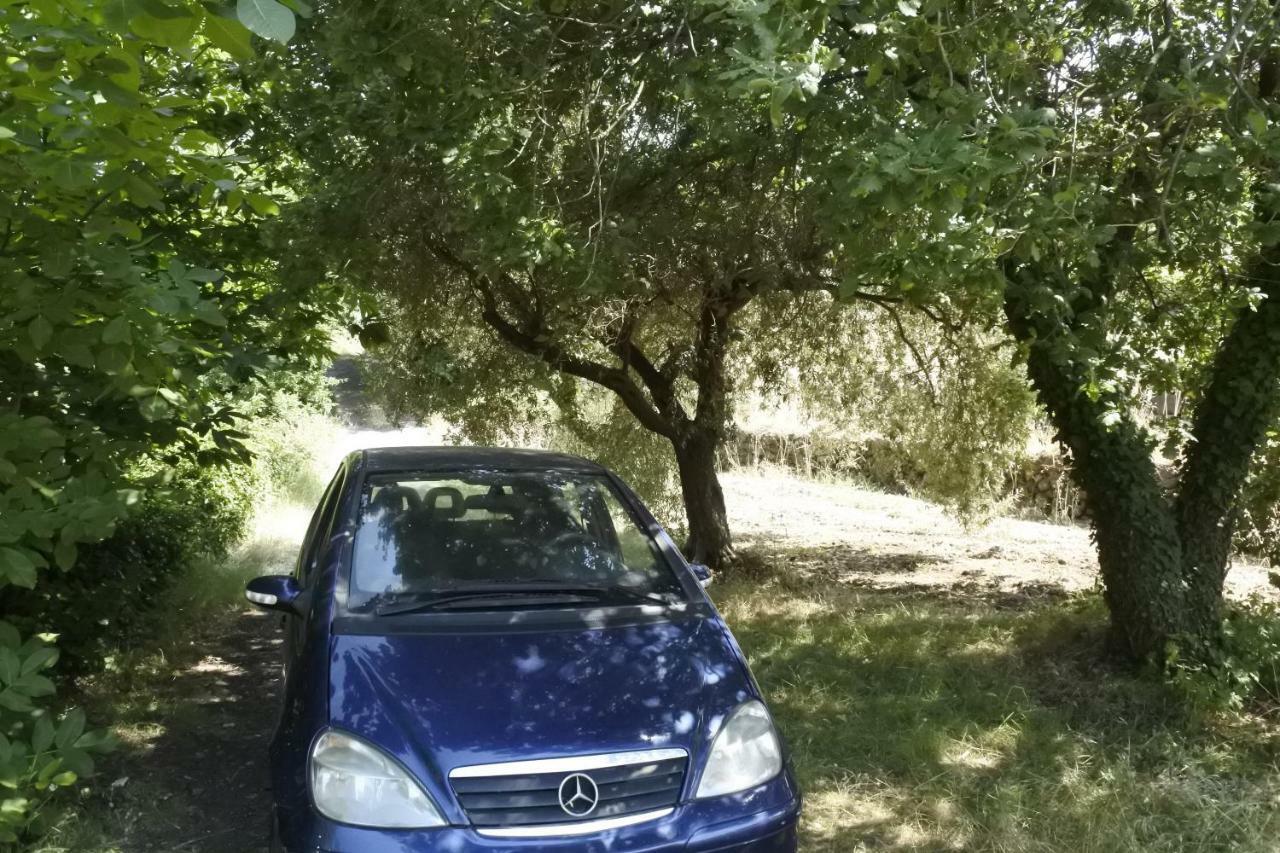 Casa Vacanza Etna Evergreen Βίλα Piedimonte Etneo Εξωτερικό φωτογραφία